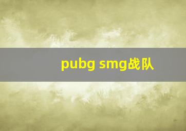 pubg smg战队